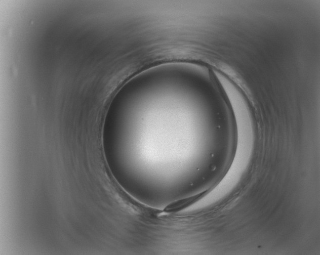 X0000063470481200602031904