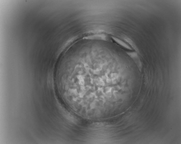 X0000063470482200602031904