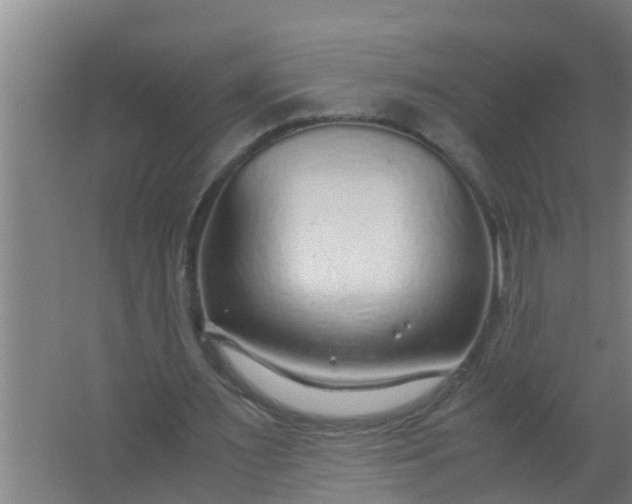 X0000063470483200602031904