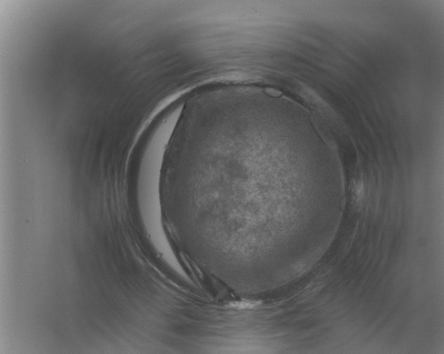 X0000063470484200602031904