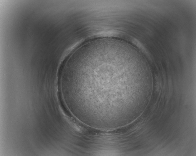 X0000063470486200602031903