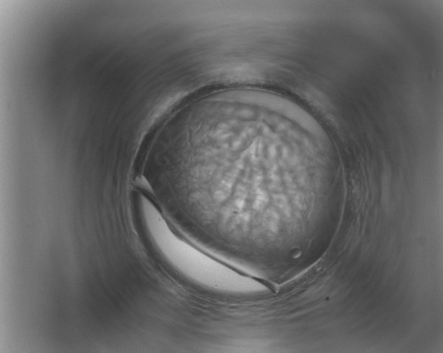 X0000063470487200602031903