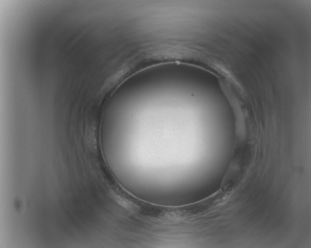 X0000063470489200602031903