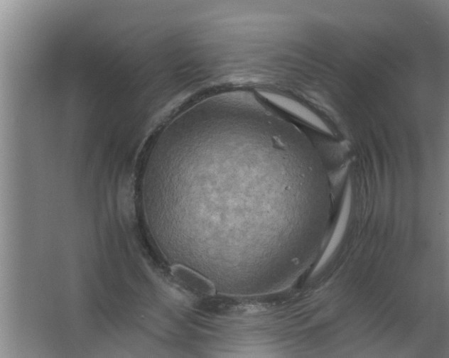 X0000063470492200602031903