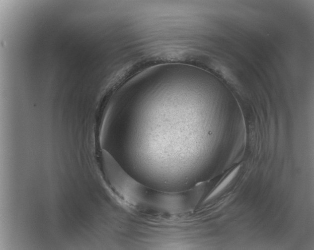 X0000063470493200602031903