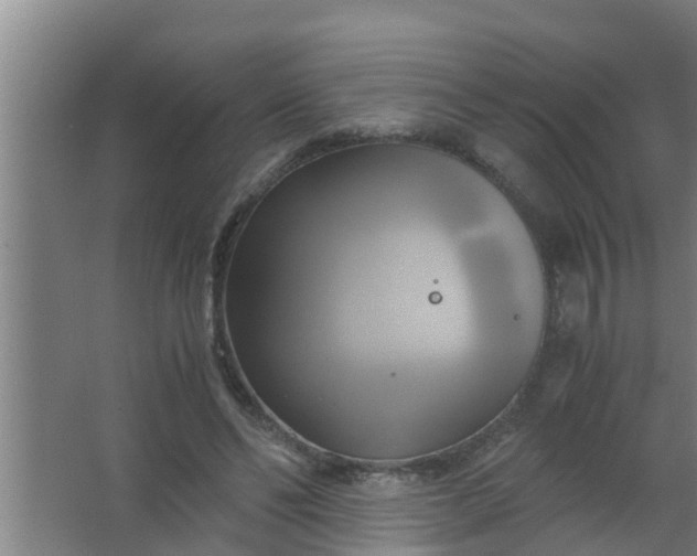 X0000063470494200602031903