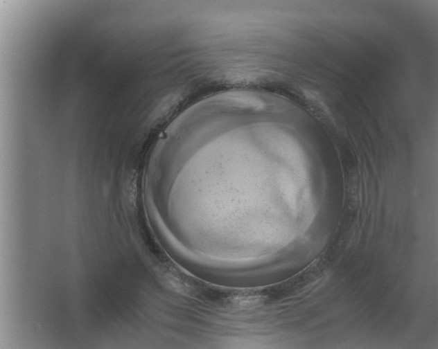 X0000063470495200602031903