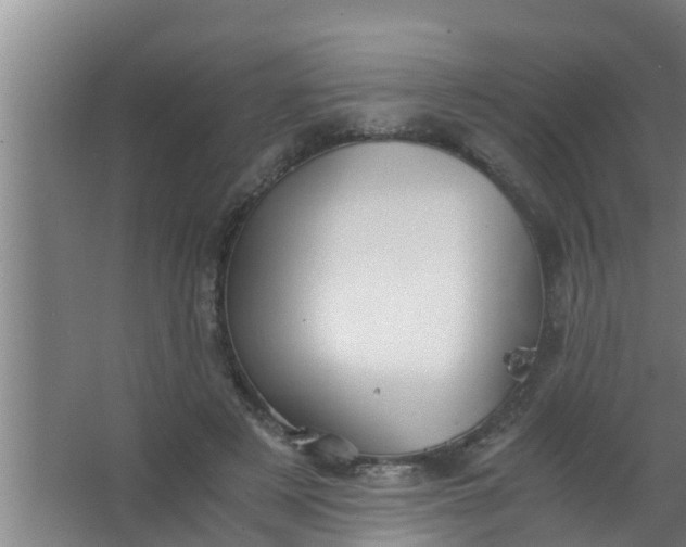 X0000063470497200602031903