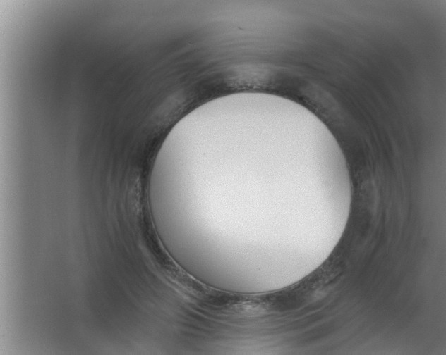 X0000063470498200602031903