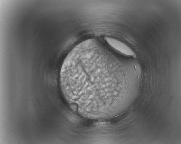 X0000063470499200602031903