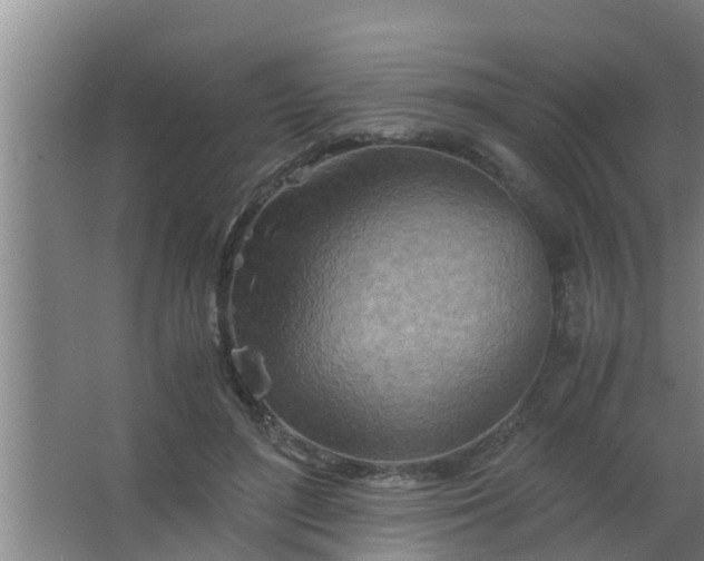 X0000063470500200602031903