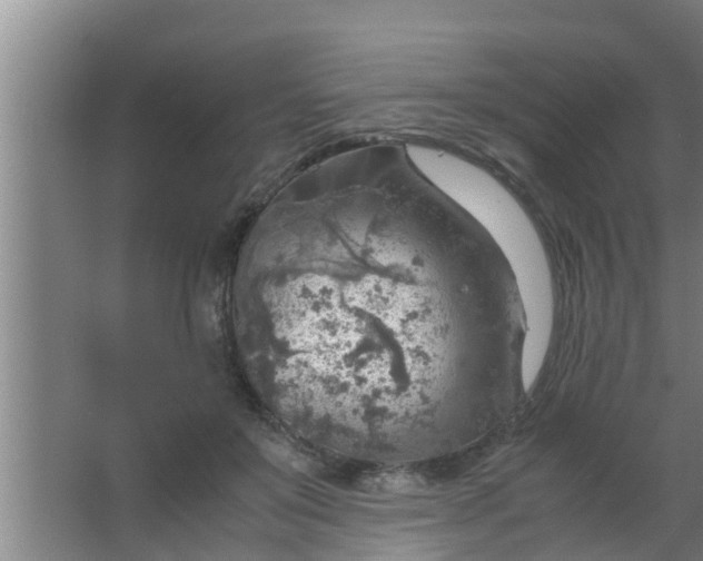 X0000063470503200602031903