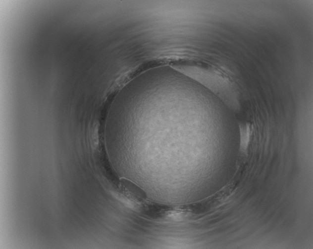 X0000063470504200602031903