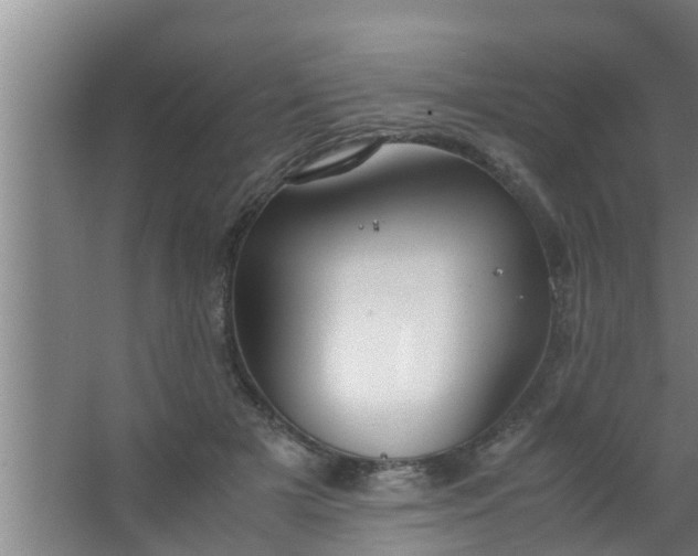 X0000063470505200602031903