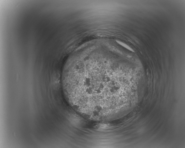 X0000063470507200602031903