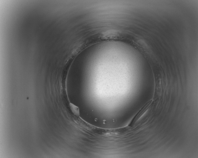 X0000063470508200602031903