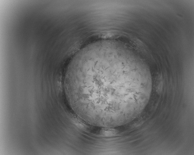 X0000063470510200602031903