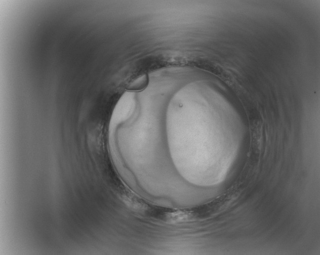 X0000063470511200602031903