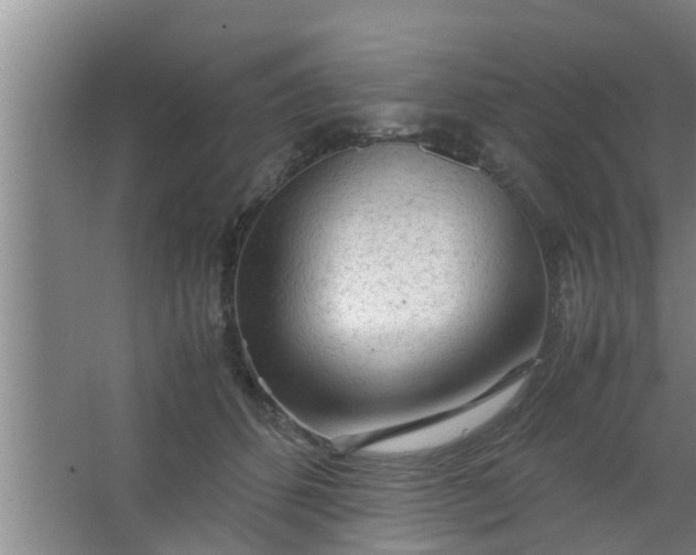 X0000063470512200602031903