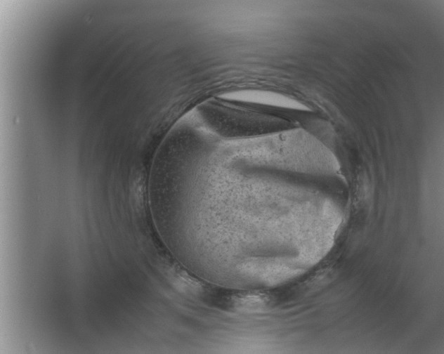 X0000063470513200602031903