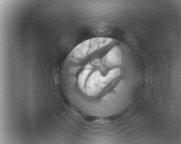 X0000063470515200602031903