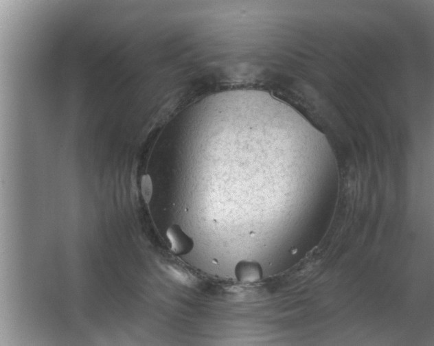 X0000063470516200602031903