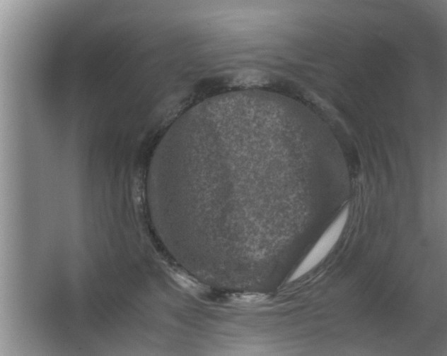 X0000063470517200602031903