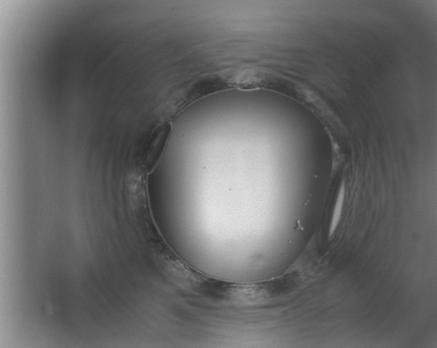 X0000063470521200602031903