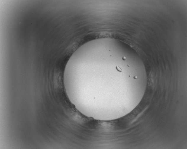 X0000063470522200602031903