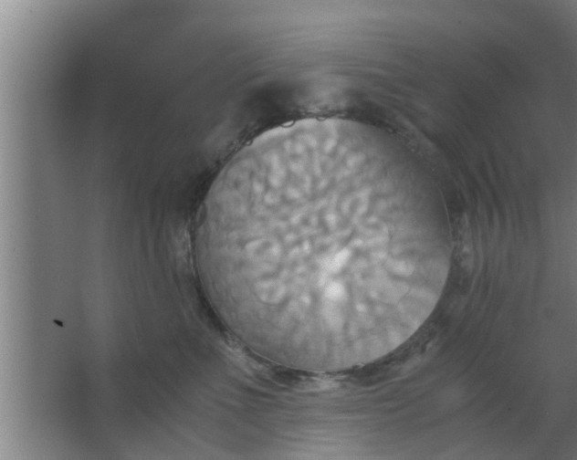 X0000063470523200602031903