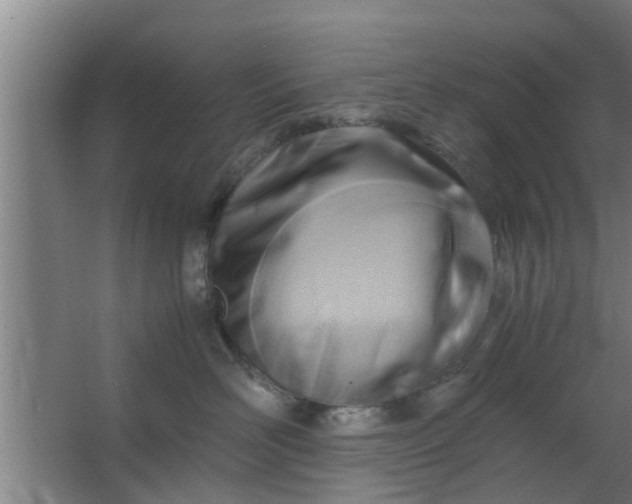 X0000063470526200602031903