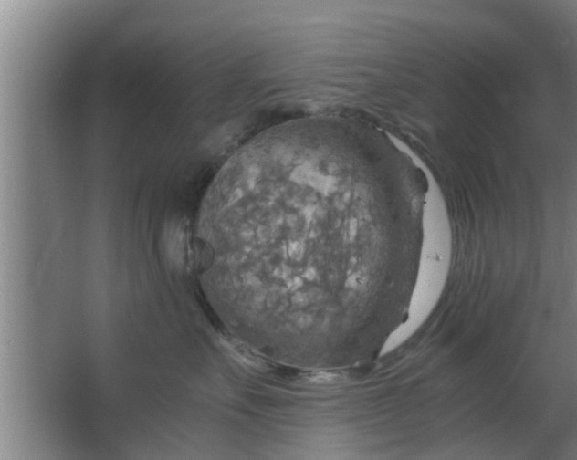 X0000063470527200602031903