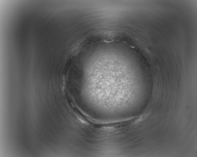 X0000063470528200602031903