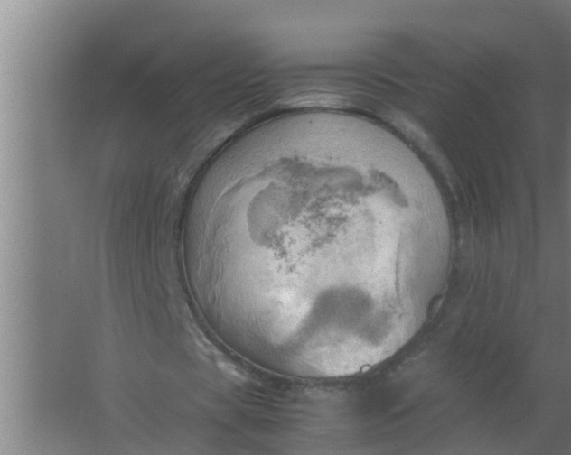 X0000063470529200602031902