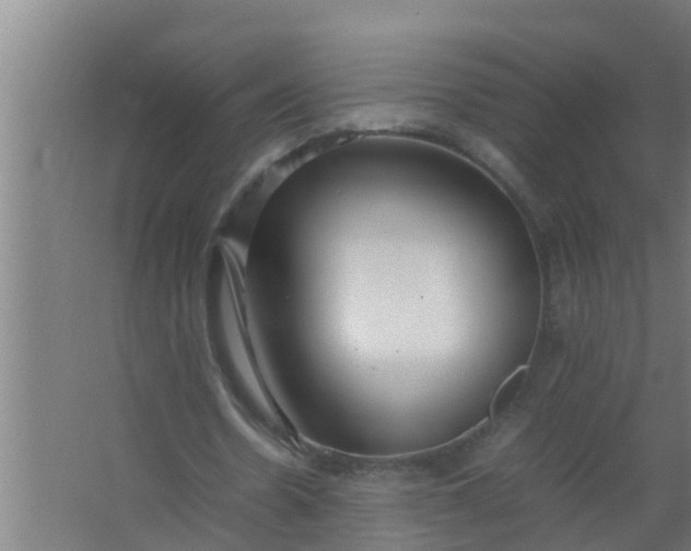 X0000063470530200602031902