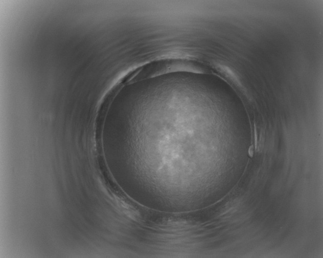 X0000063470531200602031902