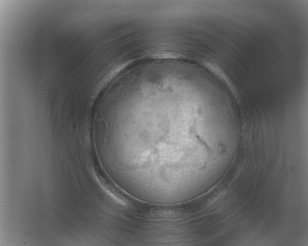 X0000063470533200602031902