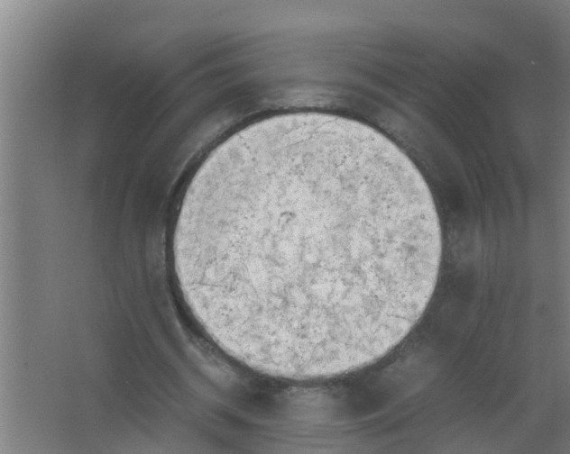 X0000063470534200602031902