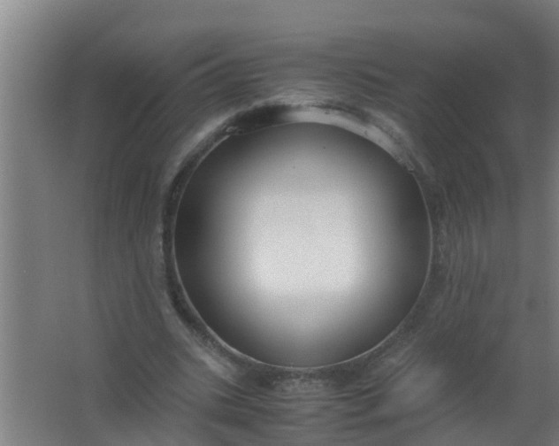 X0000063470535200602031902