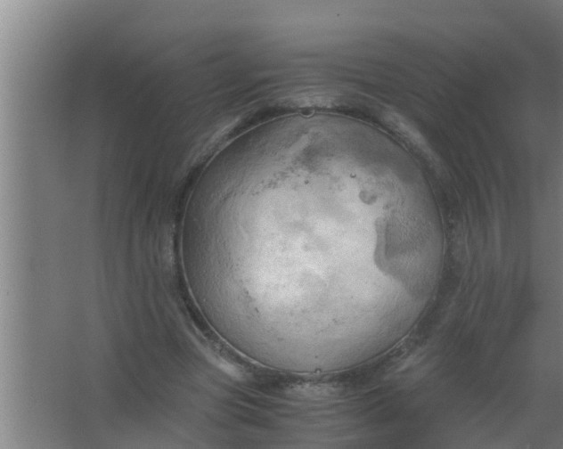 X0000063470537200602031902