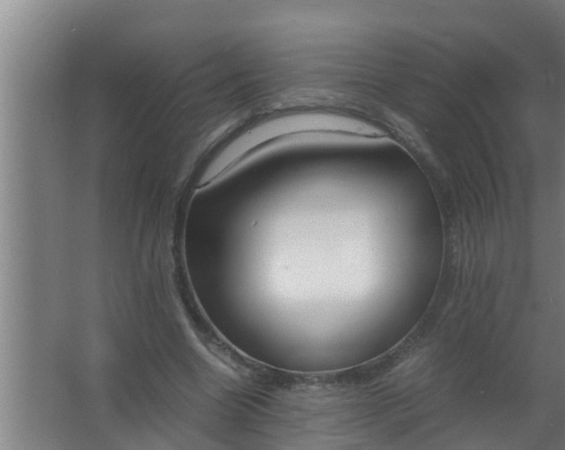 X0000063470538200602031902