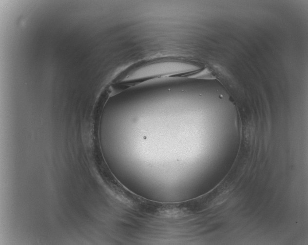 X0000063470540200602031902