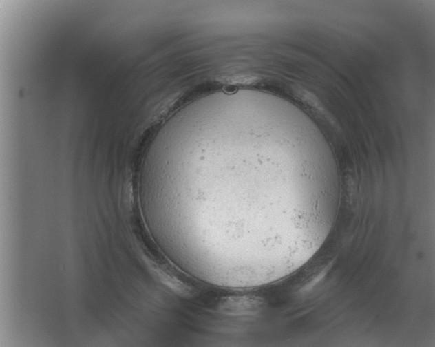 X0000063470541200602031902