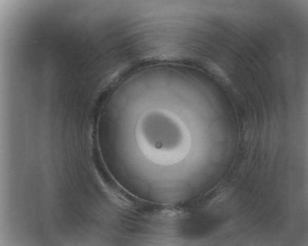 X0000063470542200602031902