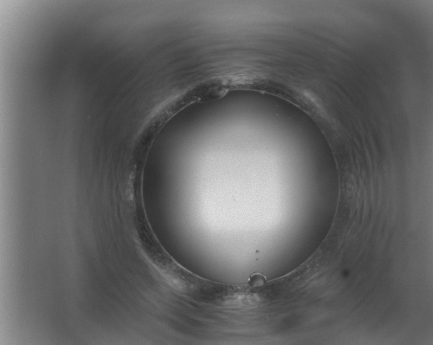 X0000063470543200602031902