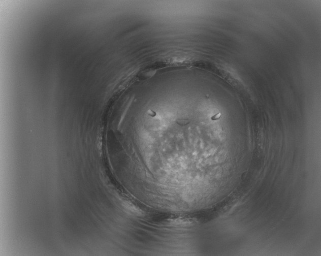 X0000063470545200602031902