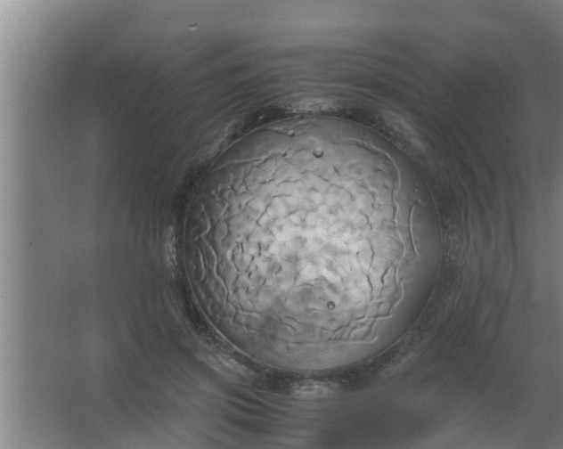 X0000063470549200602031902