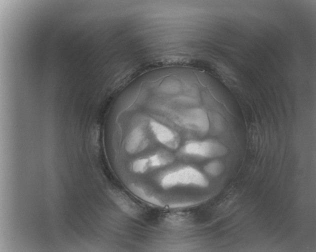 X0000063470550200602031902