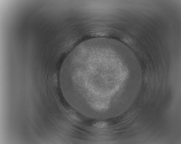 X0000063470551200602031902