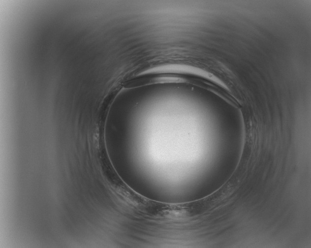 X0000063470552200602031902